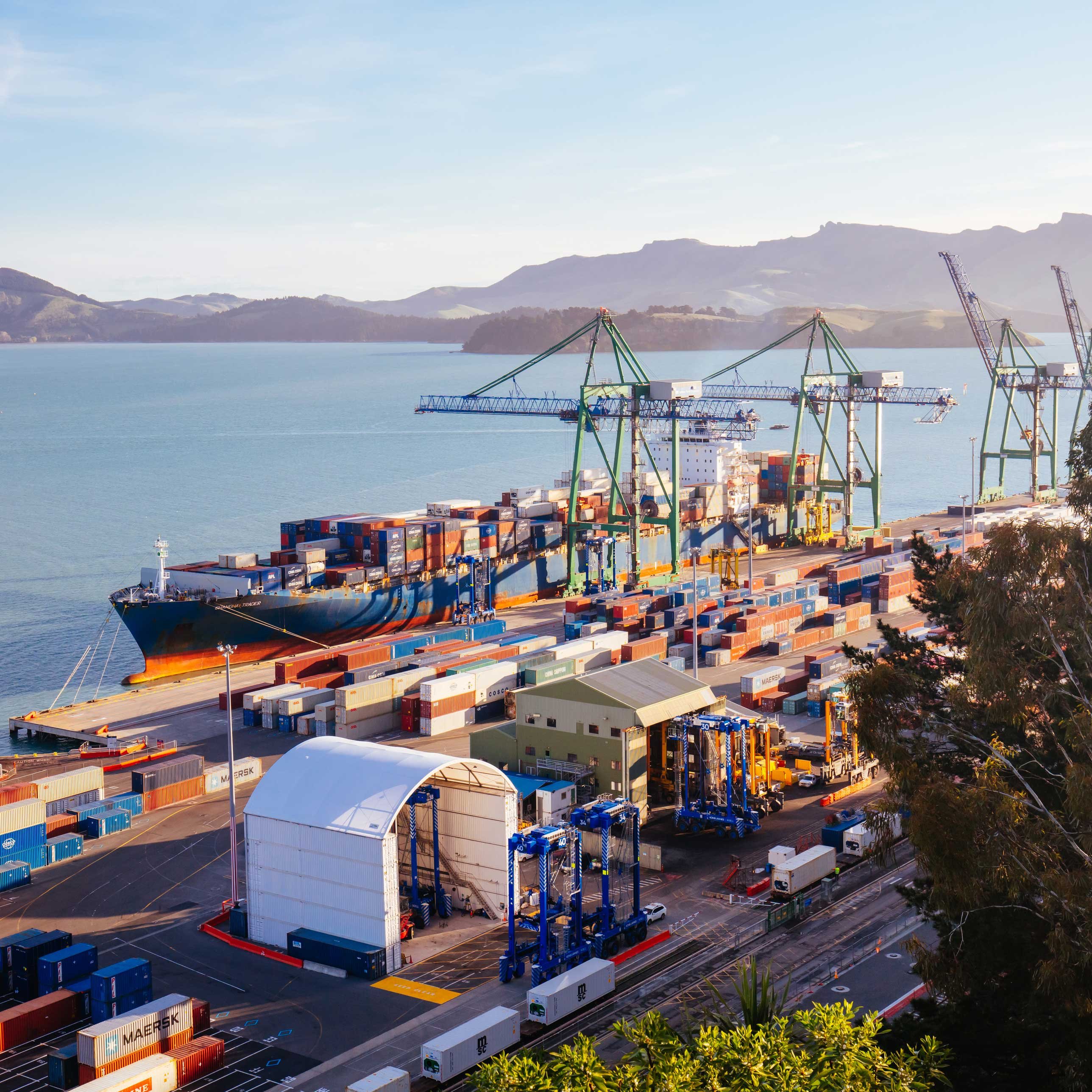 iStock-1180205508web